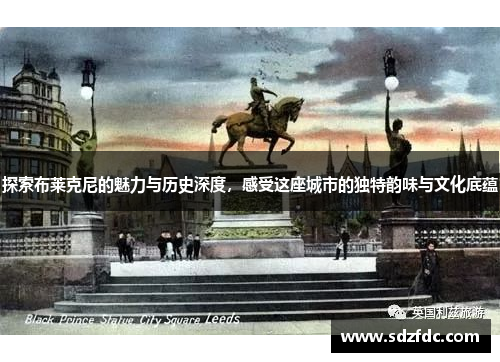 探索布莱克尼的魅力与历史深度，感受这座城市的独特韵味与文化底蕴