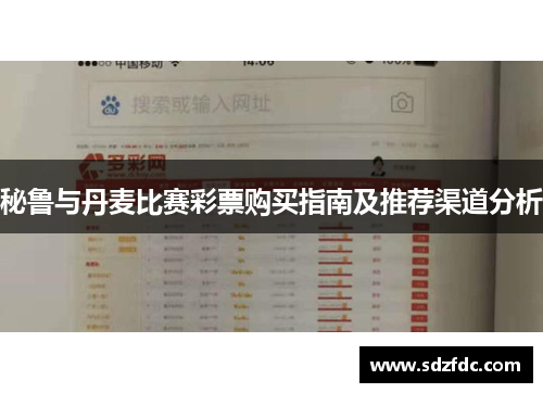 秘鲁与丹麦比赛彩票购买指南及推荐渠道分析