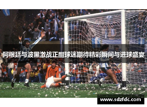 阿根廷与波黑激战正酣球迷期待精彩瞬间与进球盛宴
