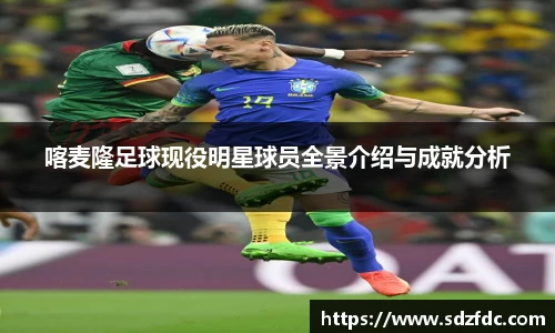 喀麦隆足球现役明星球员全景介绍与成就分析
