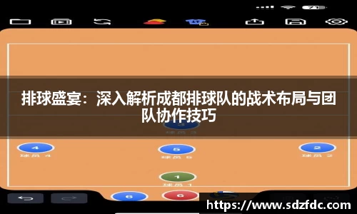 排球盛宴：深入解析成都排球队的战术布局与团队协作技巧